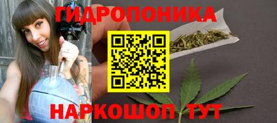 индика Ликино-Дулёво