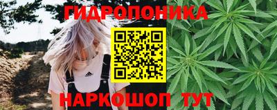 дмт Лесосибирск