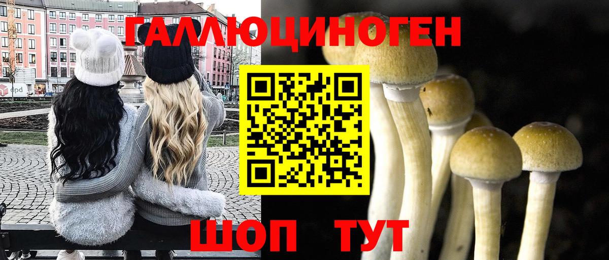 Псилоцибиновые грибы GOLDEN TEACHER Ишим