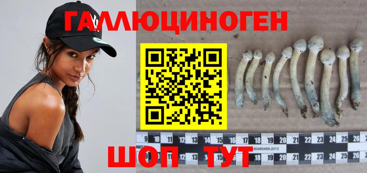 Ишим  Галлюциногенные грибы GOLDEN TEACHER  Вход с VPN 